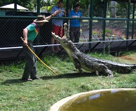 Snakes Downunder Reptile Park and Zoo - Accommodation Sunshine Coast