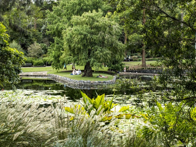 Brisbane Botanic Gardens Mount Coot-tha - thumb 1