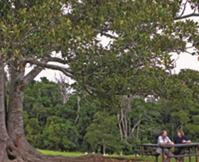 Ravensbourne National Park - Accommodation in Brisbane