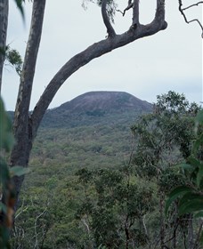 Mount Fox - Australia Accommodation