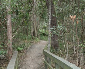 Springwood Conservation Park - Accommodation Airlie Beach