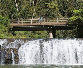 Malanda Falls Conservation Park - Accommodation Sunshine Coast