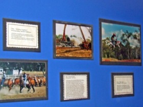 Town Hall Photographic Display - Find Attractions