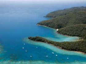 Butterfly Bay - Hook Island - Tourism Cairns