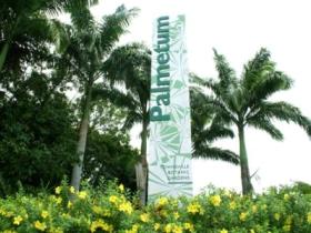 Townsville Palmetum - Tourism Cairns