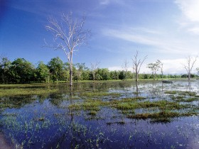 Tyto Wetlands - Accommodation Adelaide
