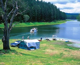 Danbulla National Park and Danbulla State Forest - Accommodation Georgetown