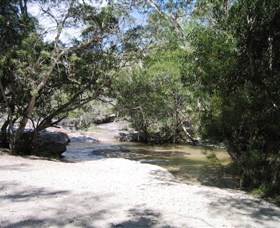 Davies Creek National Park and Dinden National Park - Yamba Accommodation