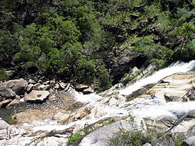 Dinden National Park - Accommodation Mount Tamborine