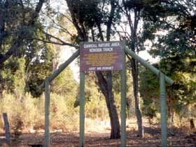 Carroll Nature Reserve Kokoda Track - Accommodation Brunswick Heads