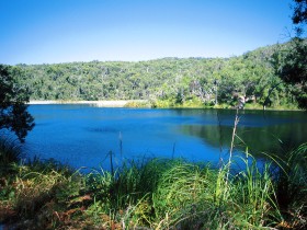 Karboora Track - New South Wales Tourism 