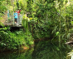 Djiru National Park - Tourism Cairns