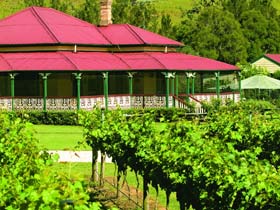 OReillys Canungra Valley Vineyards - Accommodation Yamba
