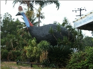 The Big Cassowary - Accommodation Airlie Beach