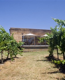 Shantell Vineyard - Accommodation in Brisbane