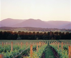 Domaine Chandon - New South Wales Tourism 
