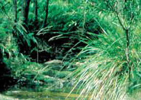 Lerderderg State Park - Tourism Adelaide