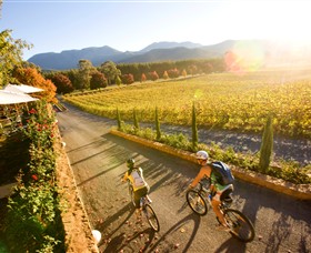 Boyntons Feathertop Winery - Find Attractions