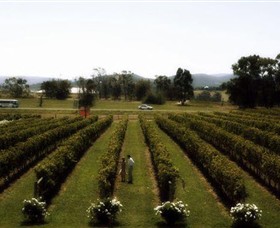 Rochford Wines - Accommodation VIC