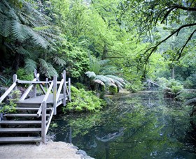 Alfred Nicholas Gardens - Accommodation Mount Tamborine