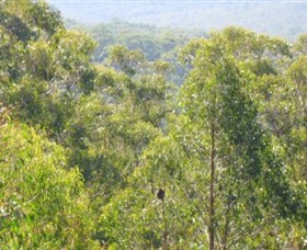 Bunyip State Park - Accommodation Adelaide