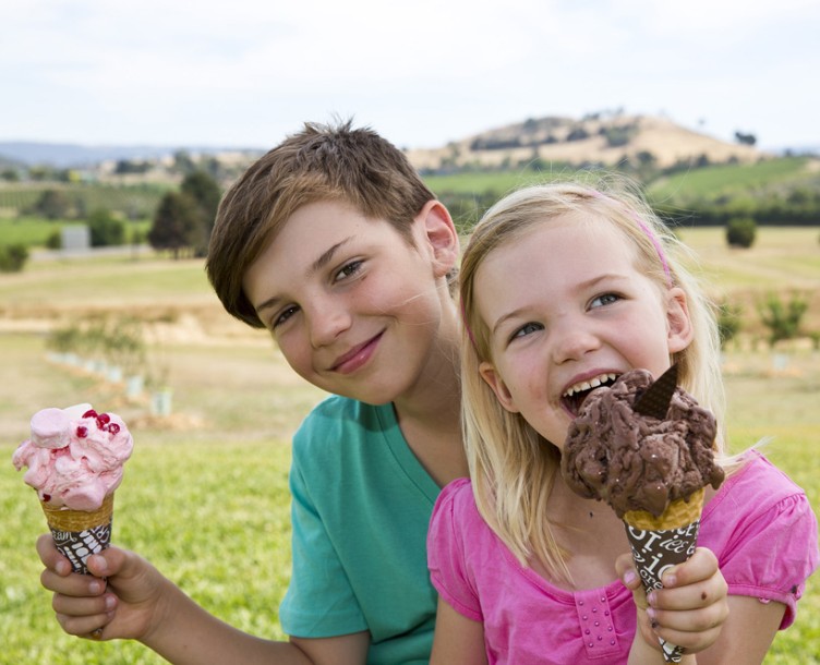 Yarra Valley Chocolaterie & Ice Creamery - thumb 6