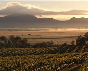Montara Wines - Tourism Canberra