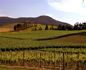 Soumah of Yarra Valley - Find Attractions
