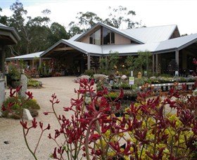 Kuranga Native Nursery and Paperbark Cafe - Redcliffe Tourism