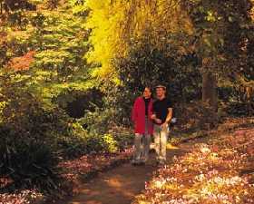 George Tindale Memorial Gardens - Accommodation Mount Tamborine