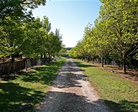 Waybourne Winery - Find Attractions