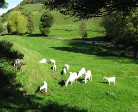 Goats of Gaia Soap - Accommodation Mount Tamborine