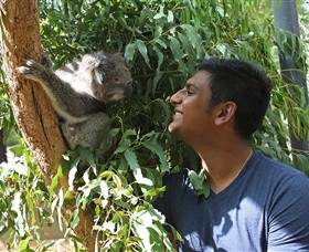 Healesville Sanctuary - Find Attractions