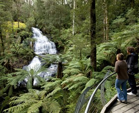 Great Otway National Park - New South Wales Tourism 