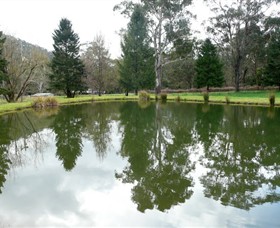 Mountain Fresh Trout and Salmon Farm - Accommodation Mt Buller