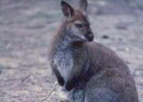 Churchill National Park - Accommodation Bookings