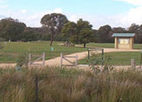 Dandenong Police Paddocks Reserve - Redcliffe Tourism