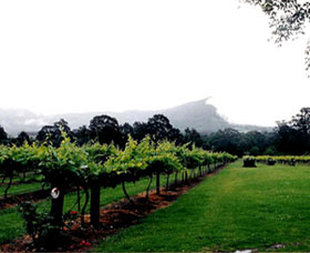 Cambewarra Estate Wines - Accommodation Mt Buller