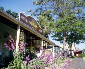 Passionfish Candles - Accommodation Mt Buller