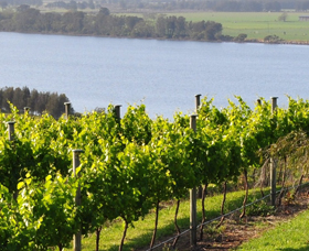 Two Figs Winery - Find Attractions