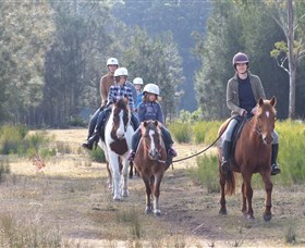 Horse Riding at Oaks Ranch and Country Club - Accommodation Yamba