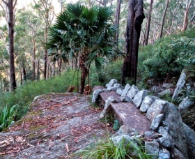 Wodi Wodi Walking Track - New South Wales Tourism 