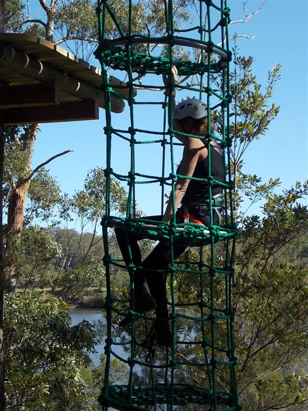 Trees Adventure Shoalhaven - Find Attractions