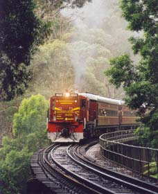 Cockatoo Run - Scenic Tour Train operated by 3801 Limited - Accommodation Yamba