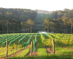 Tilba Valley Wines - New South Wales Tourism 