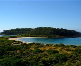 Broulee Island Walk - Find Attractions