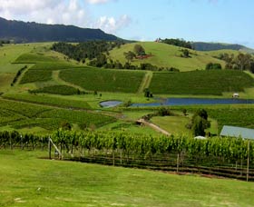 Crooked River Winery - Tourism Cairns
