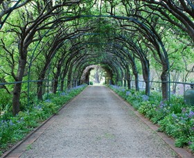 Foxglove Spire Gardens - Find Attractions