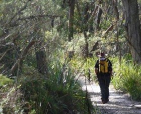 Barren Grounds Nature Reserve - Accommodation Sunshine Coast