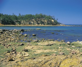 Aslings Beach - New South Wales Tourism 